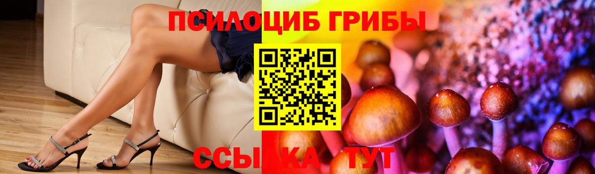 Галлюциногенные грибы мухоморы  Галлюциногенные грибы прущие грибы  Вход с VPN  Отрадный 